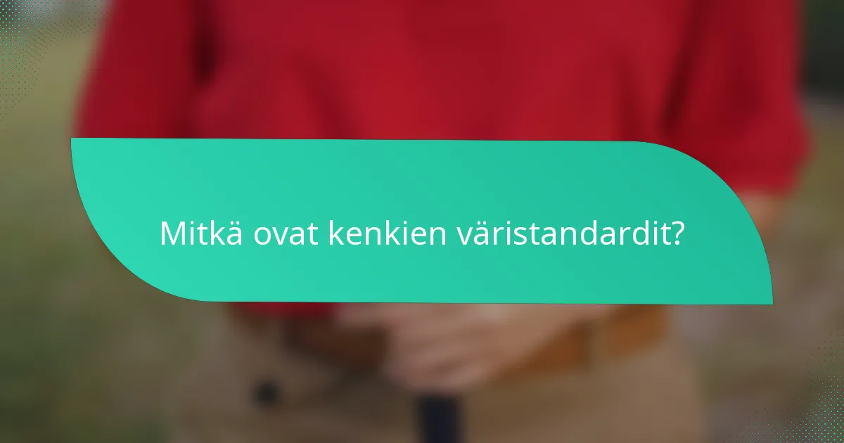 Mitkä ovat kenkien väristandardit?